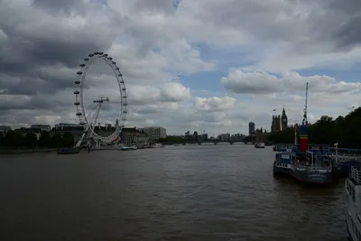 DSC_2786 (Large).JPG